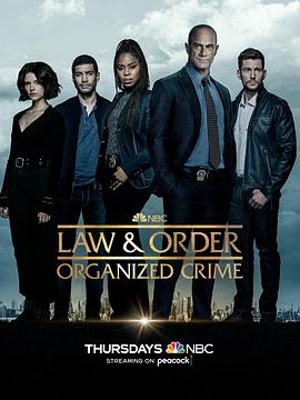 法律与秩序：组织犯罪第三季 第01集